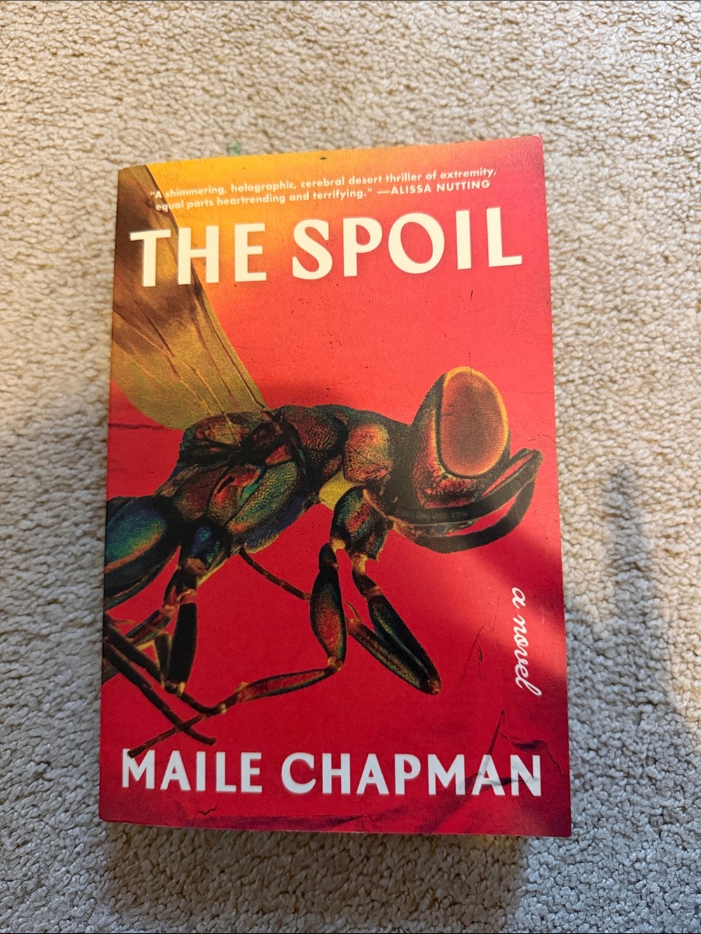 The Spoil by Maile Chapman